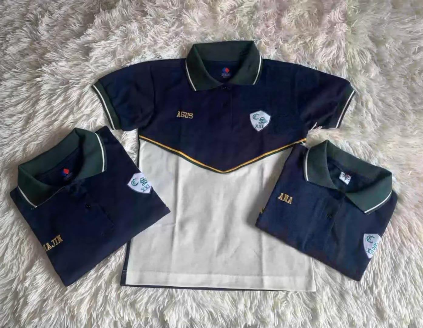 Promos de egresados - Image 7